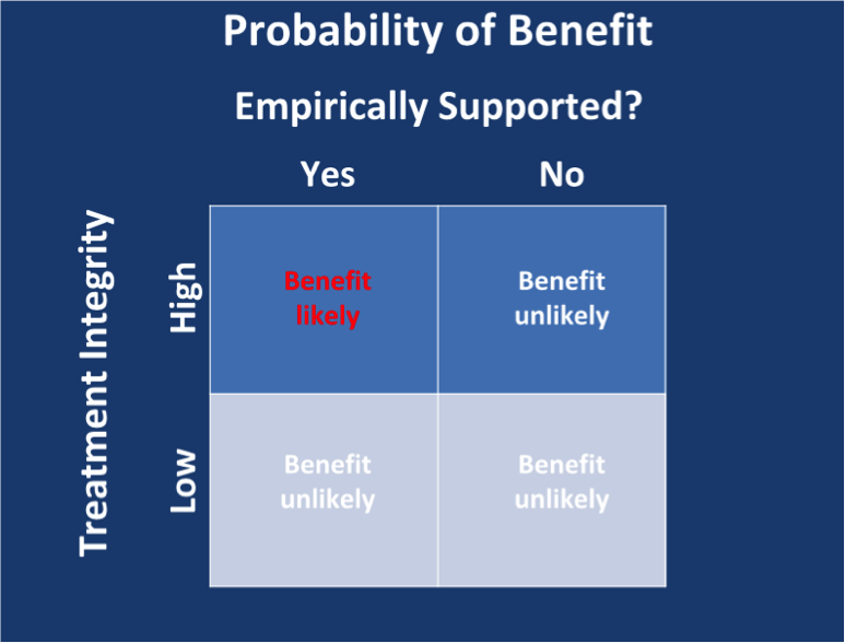 Treatment Integrity